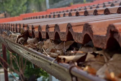 limpieza de canalones en vivienda
